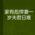 家有彪悍妻一歲夫君日難