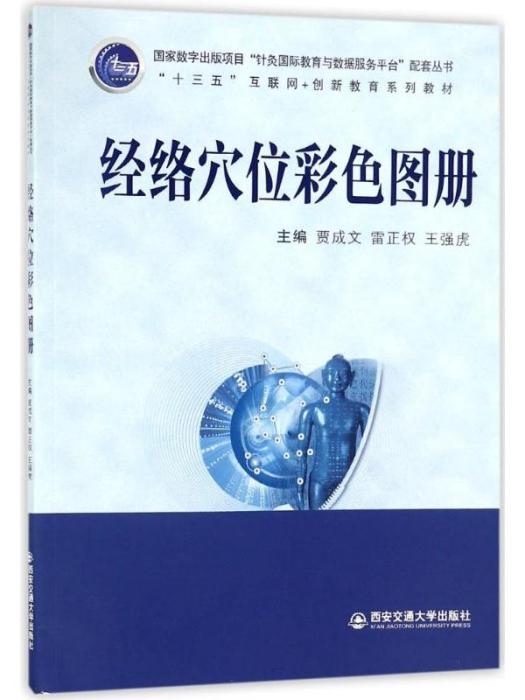 經絡穴位彩色圖冊