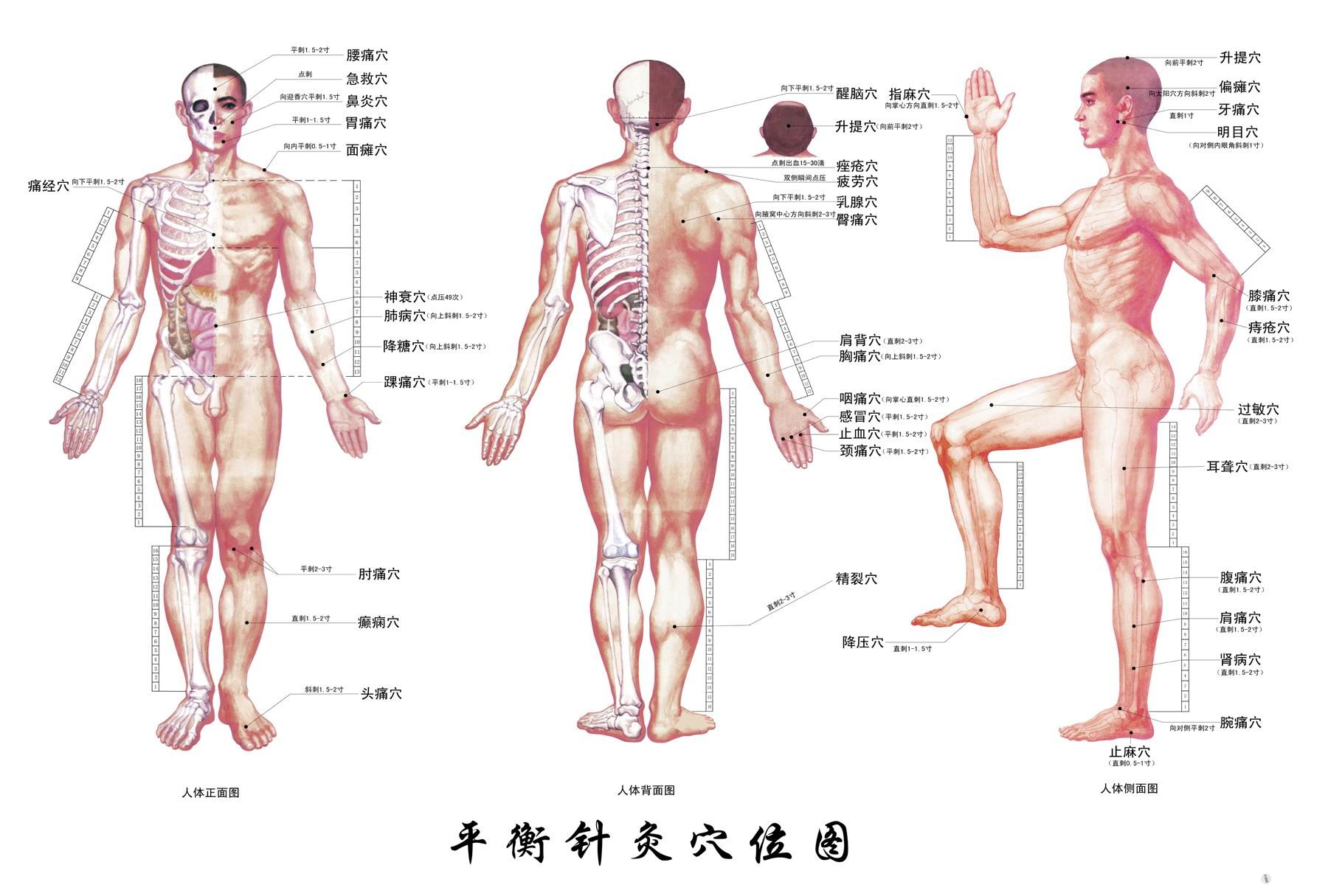 平衡針灸