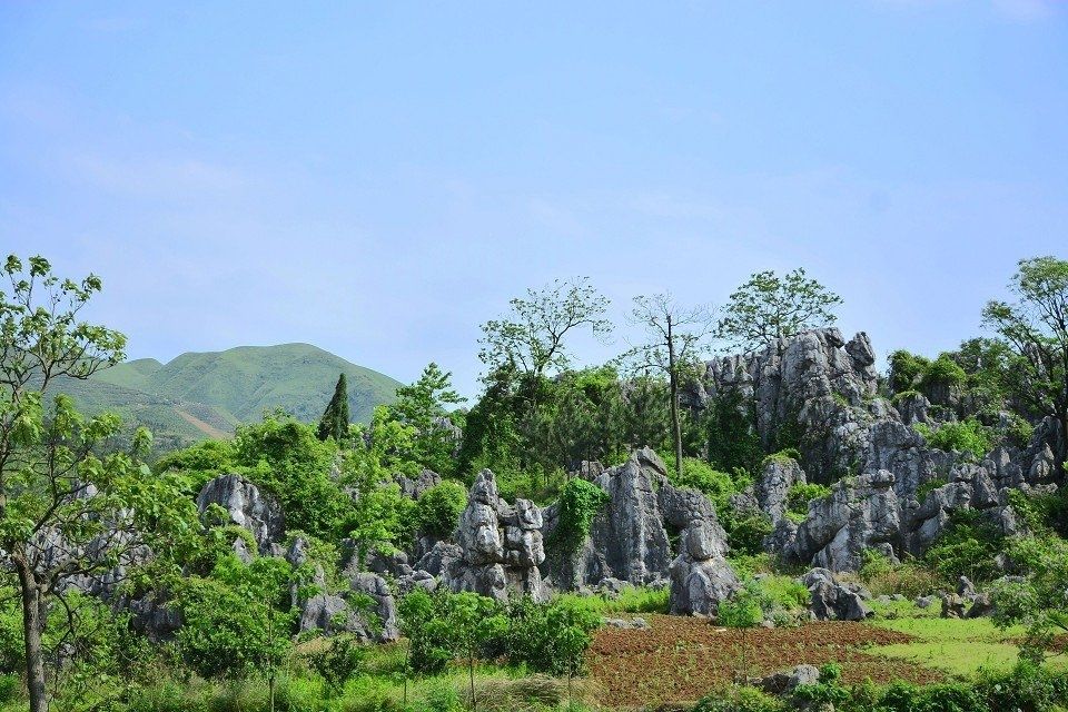 雙鳳(湖南邵東縣雙鳳鄉)