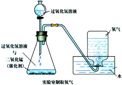 氧氣(O2（O2）)