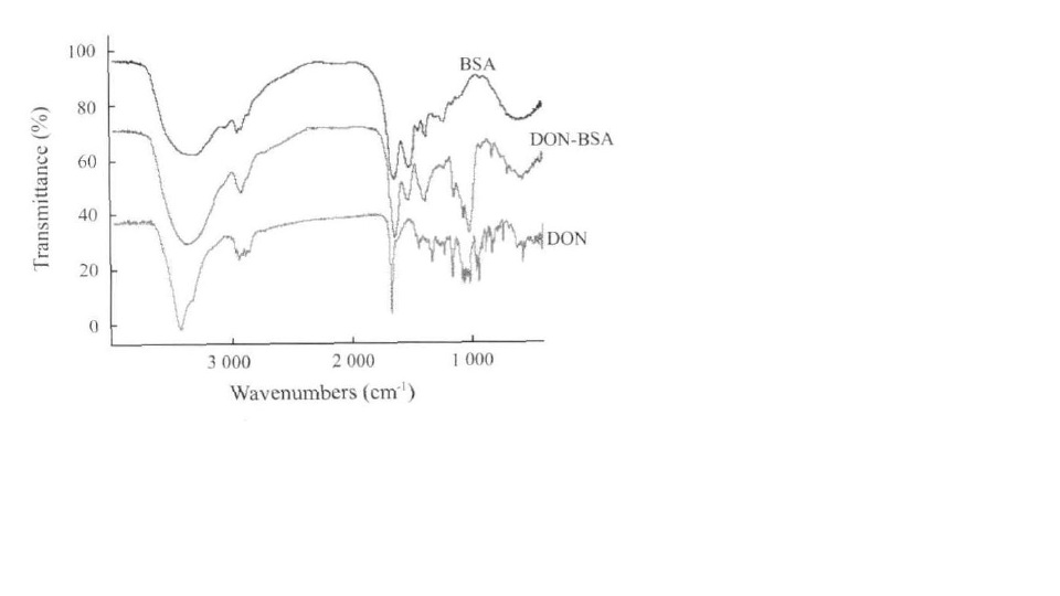 DON-BSA偶聯物紅外光譜圖
