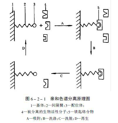 親和色譜法