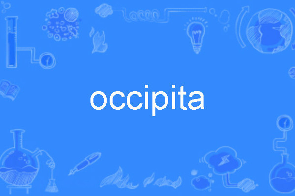 occipita