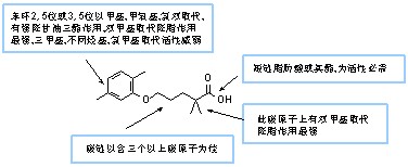 HMG-CoA還原酶抑制劑