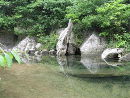 連康山國家級自然保護區(連康山自然保護區)