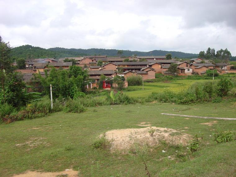 李大村(雲南省楚雄州楚雄市紫溪鎮箐上行政村)