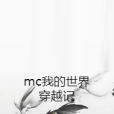 mc我的世界穿越記