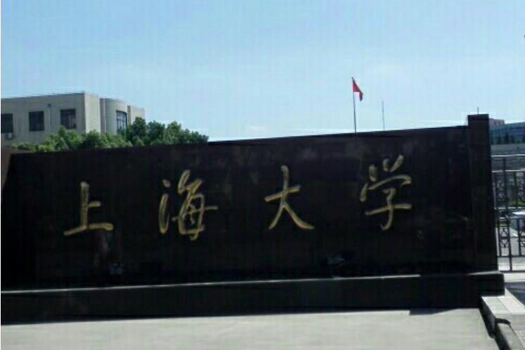 上海大學醫工交叉研究院