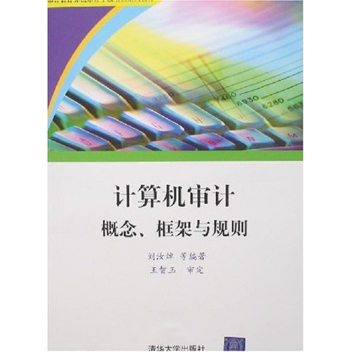 計算機審計：概念、框架與規則