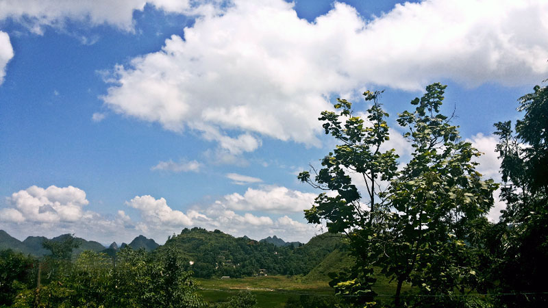 新屯村(貴州省貞豐縣北盤江鎮)