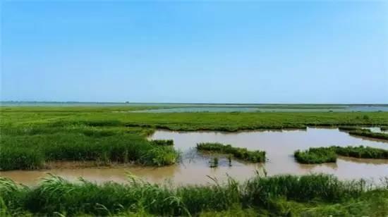 餘干鄱陽湖環境