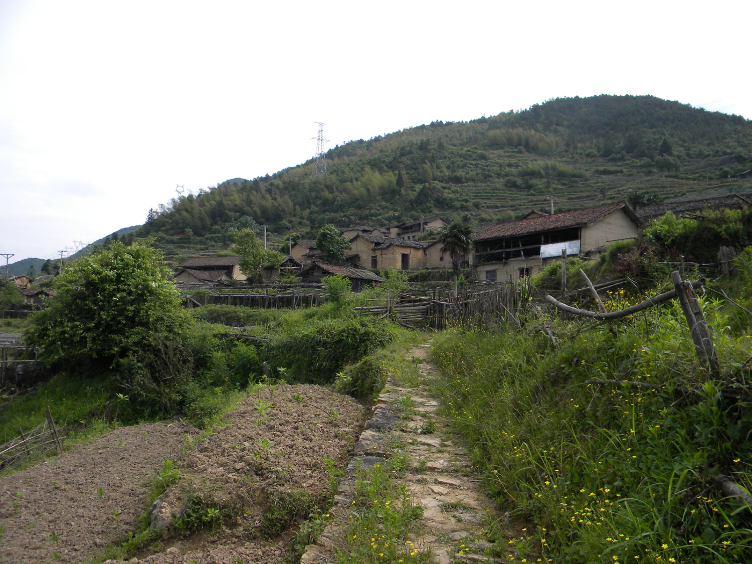 方山嶺村