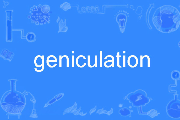 geniculation