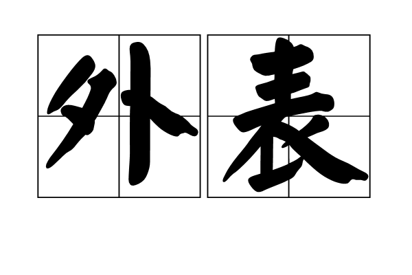 外表(字詞)