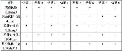 B肝兩對半化驗單