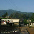 太平村(雲南省麗江市玉龍納西族自治縣魯甸鄉太平村)