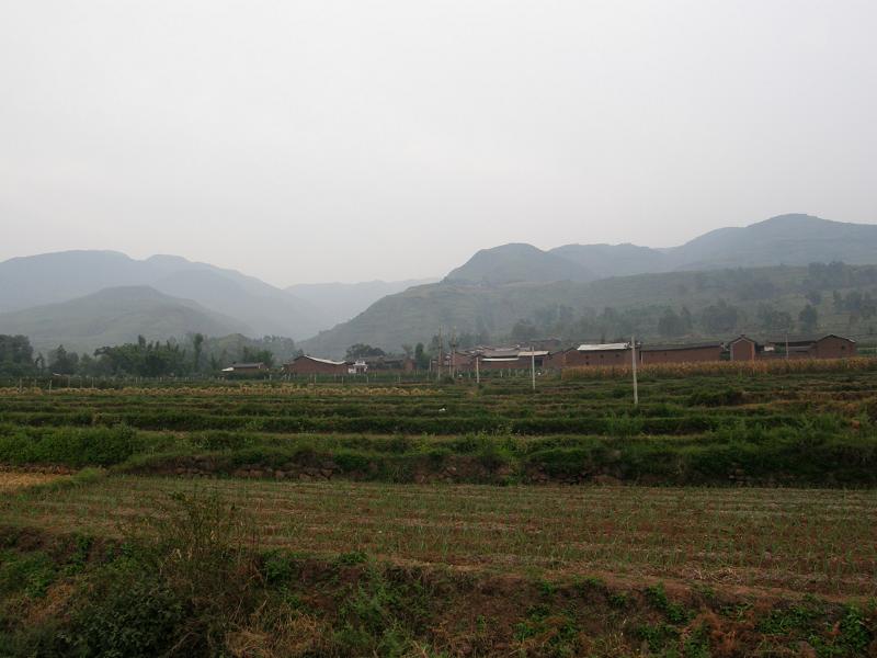 大水箐村(雲南賓川縣力角鎮下轄村)