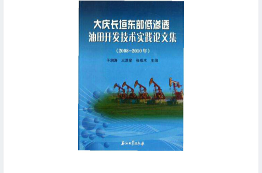 大慶長垣東部低滲透油田開發技術實踐論文集