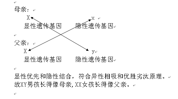 “孟德爾—孫”遺傳基因優先組合定律