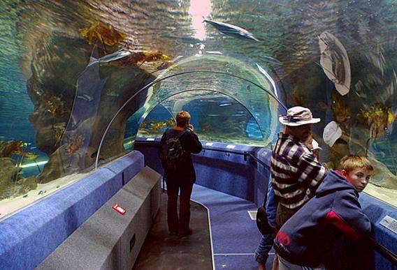 紐西蘭國家水族館