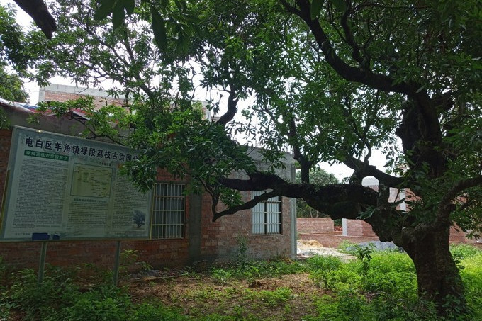 羊角祿段貢園