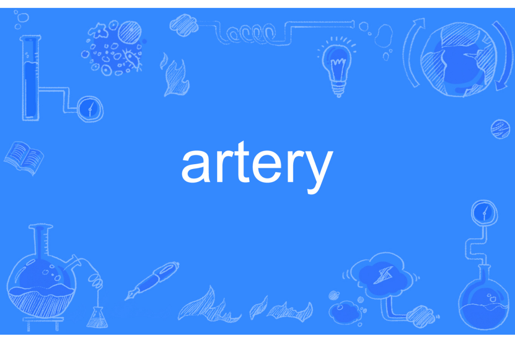 artery