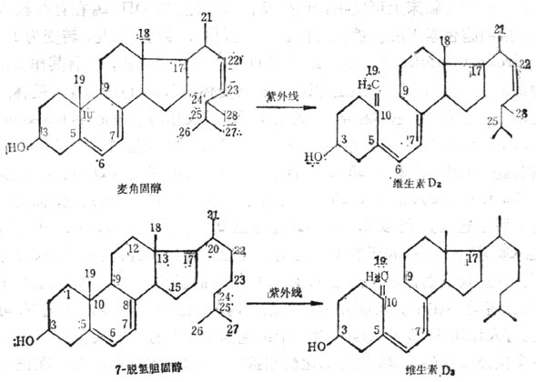 麥固醇