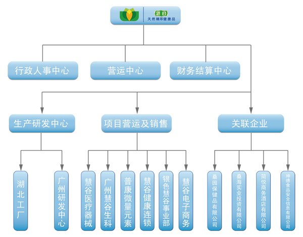 慧谷健康企業架構