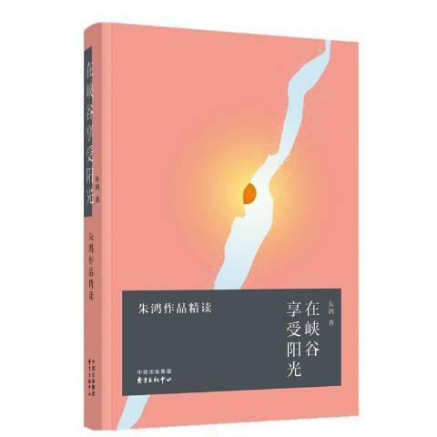 在峽谷享受陽光——朱鴻作品精讀