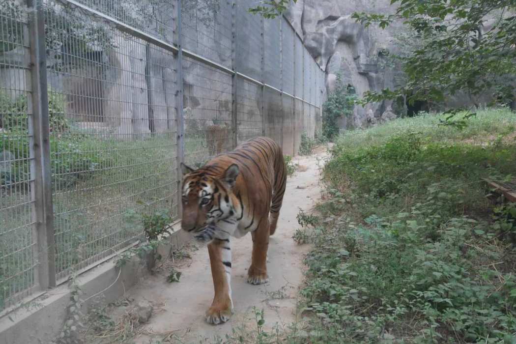 洛陽市王城公園動物園