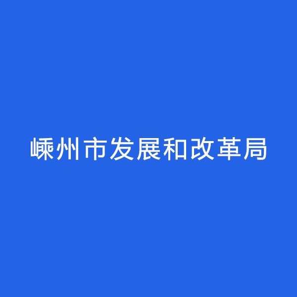 嵊州市發展和改革局