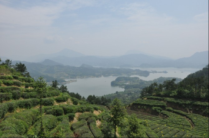 葉家沖村(湖北省黃岡市羅田縣白蓮河鄉葉家沖村)