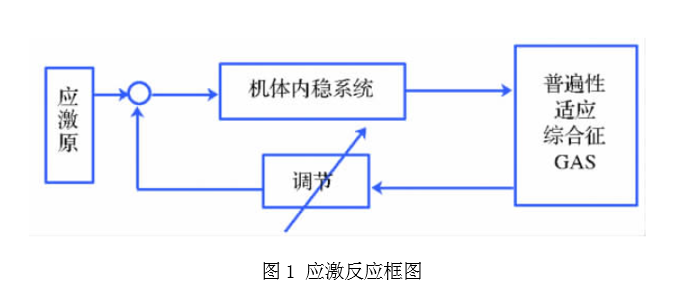 人類健康工程