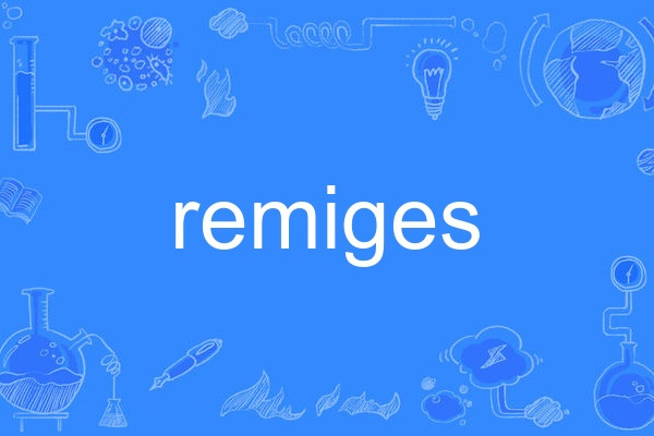 remiges