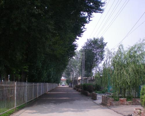 東小河屯村風景