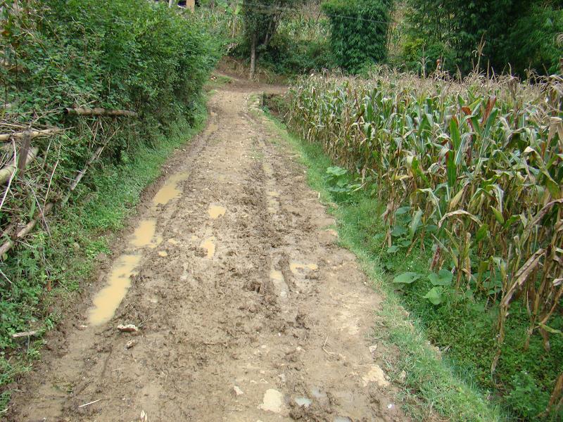 鳳雞寨一自然村通村道路