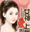 女神愛上我(網路小說)