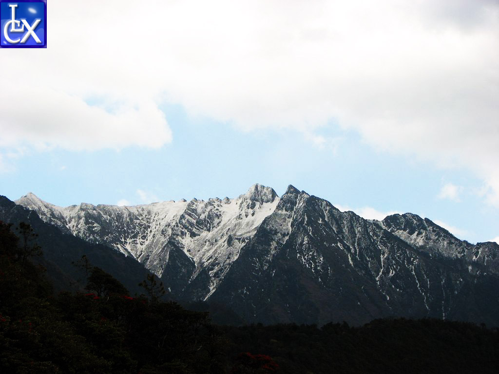 蒼山雪