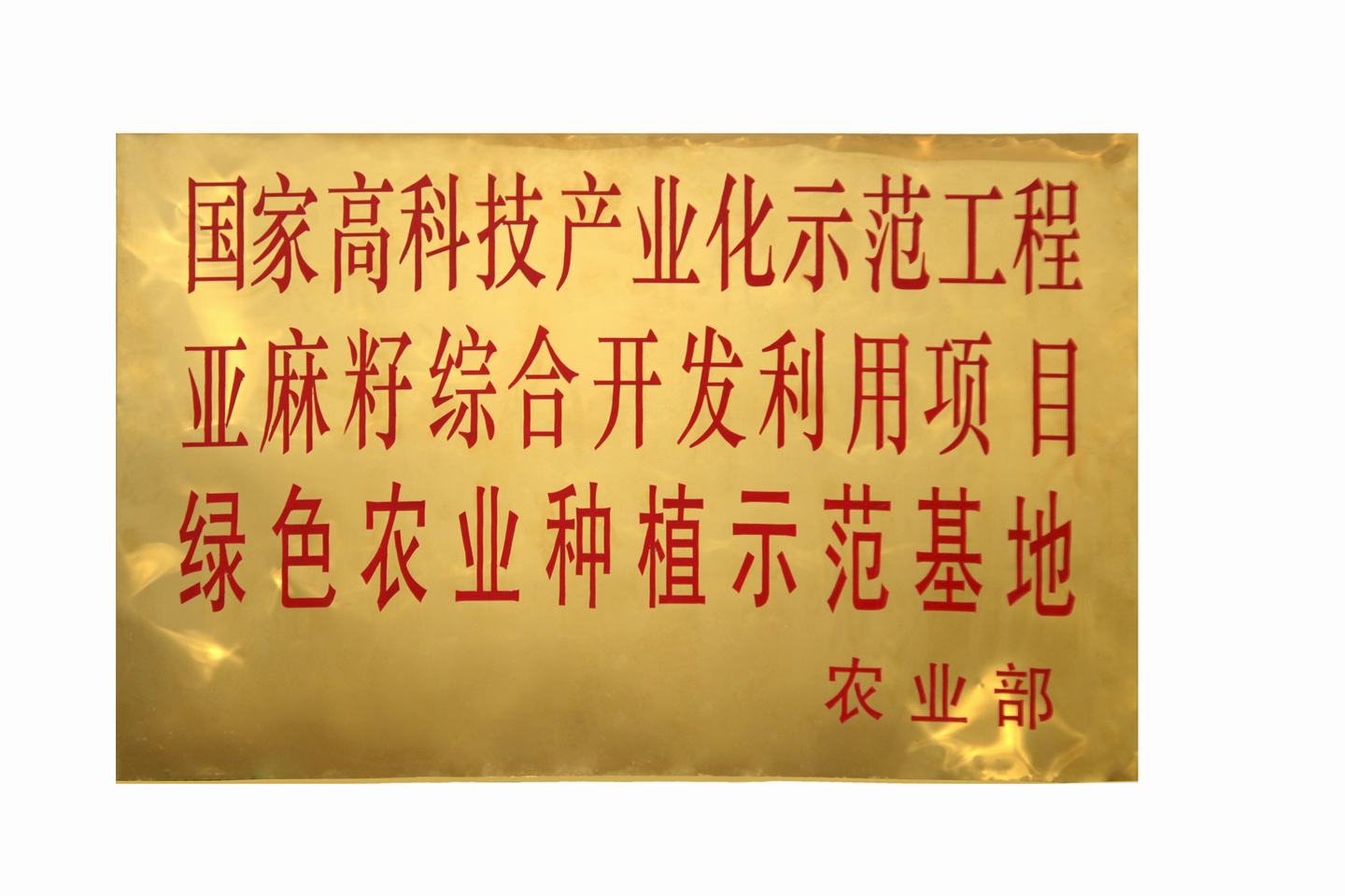 國家計委關於亞麻籽綜合開發利用產業化示範工程項目可行性研究報告