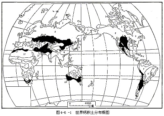 世界鈣積土分布概圖