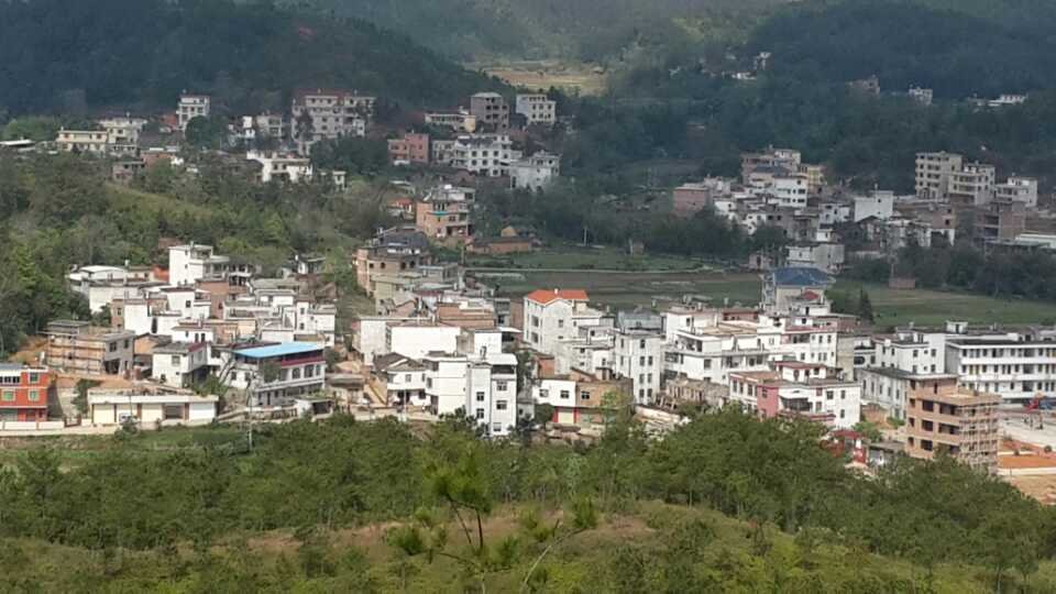 寨背村(福建省龍巖市)