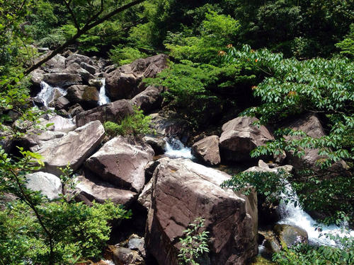 浙江花岩國家森林公園