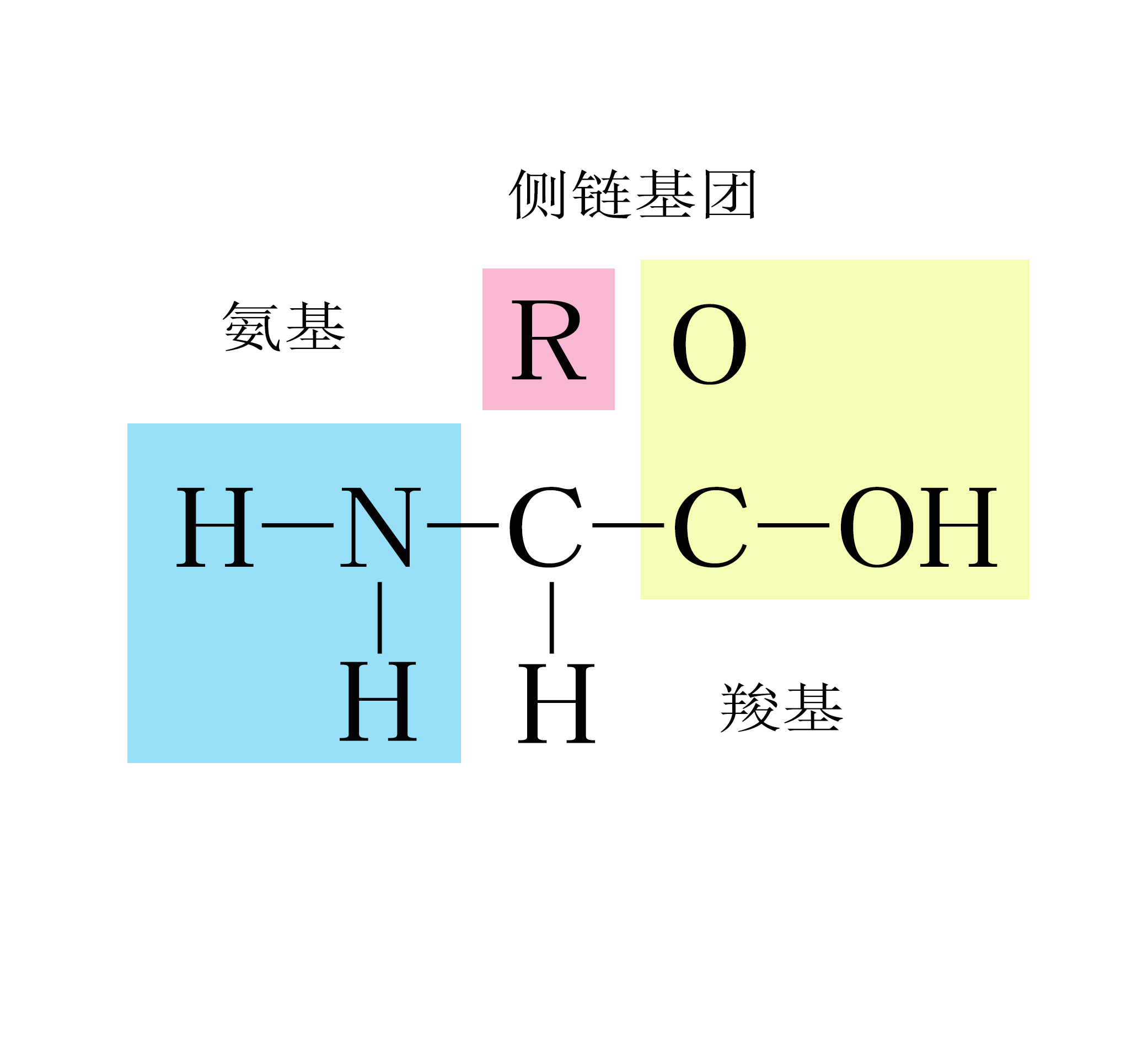 雙蛋白