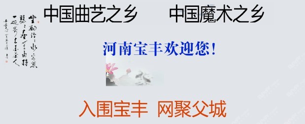 入圍寶豐 網聚父城