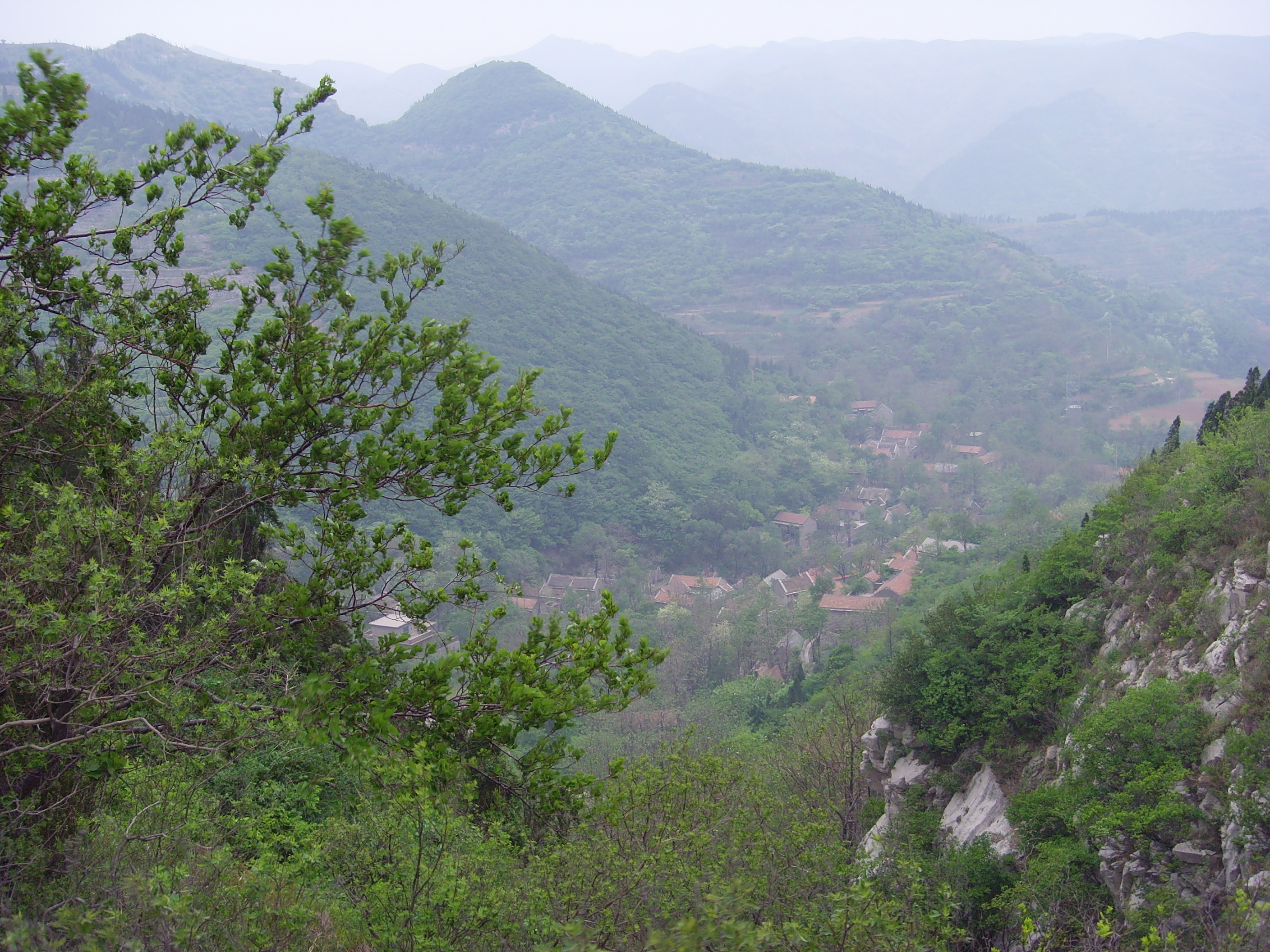 博山黃連峪