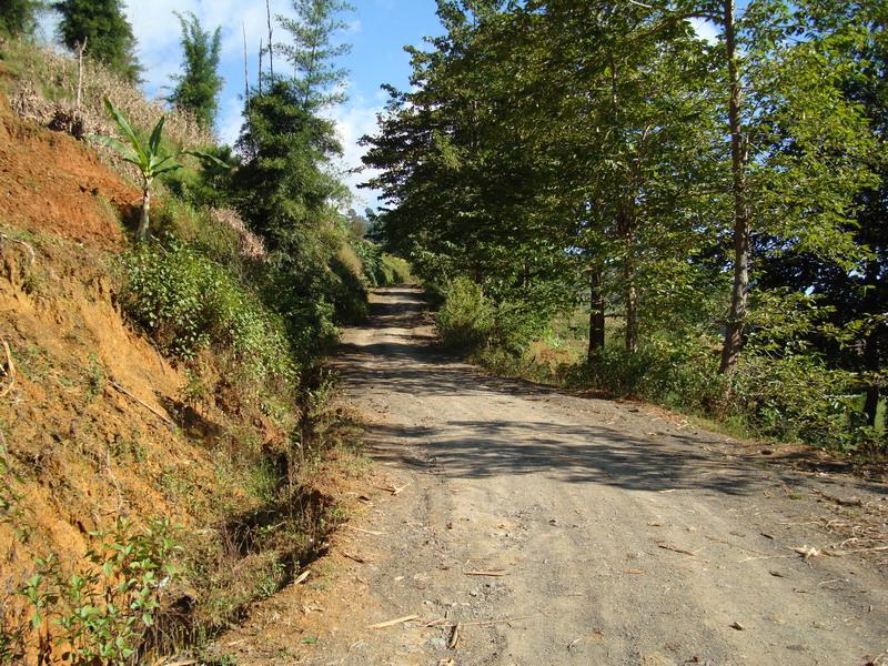 進村道路