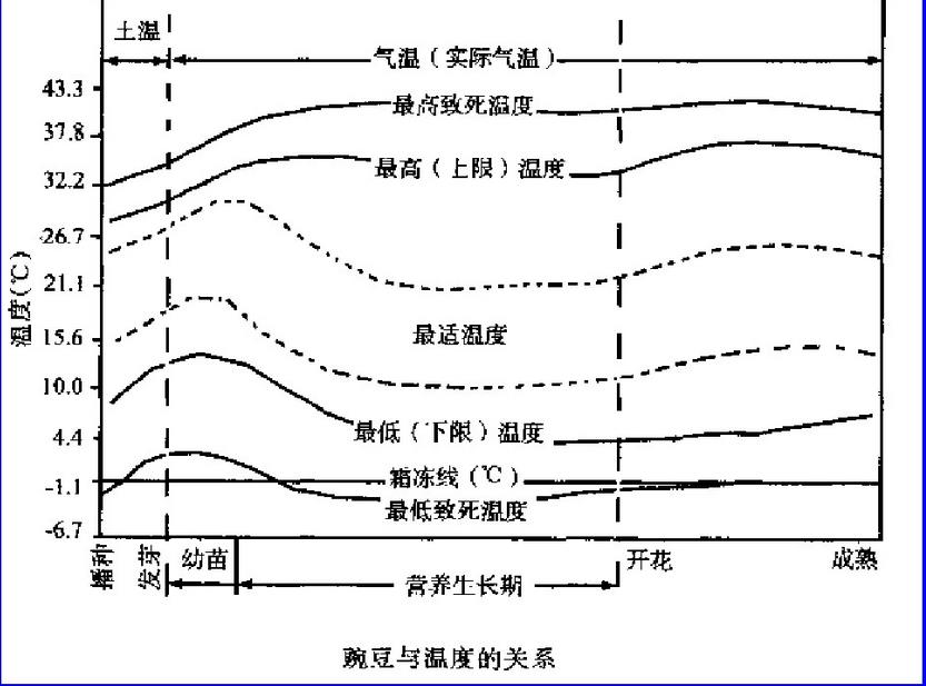 活動溫度