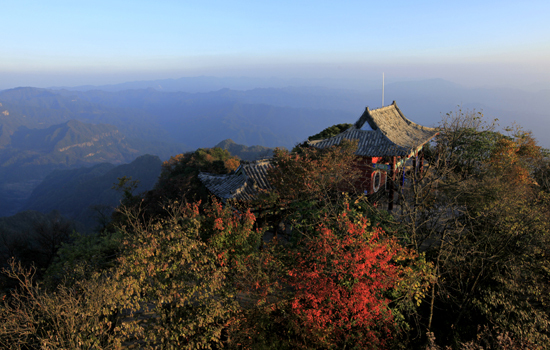 黃水森林公園