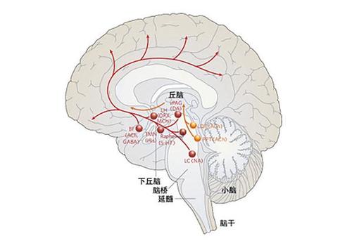 謝健青定論